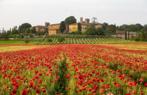 Tipica casa nelle Crete Senesi - Foto 34