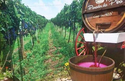 Chalé Temático em Pipa de Vinho - Parada da Pipa Chalés - Foto 63