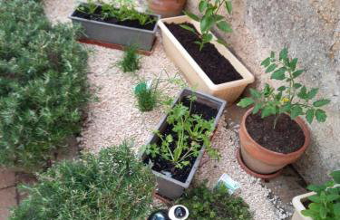 SII RELAX - Photo 21