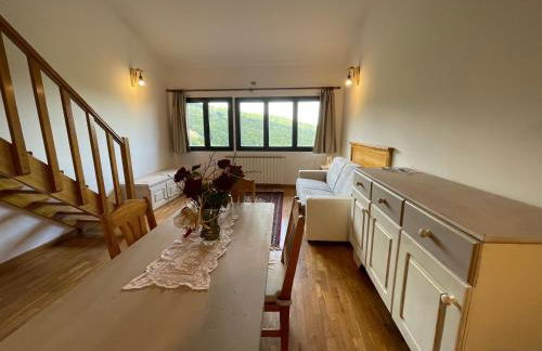 Residenza Riva Wellness Apartment Spa - Foto 38