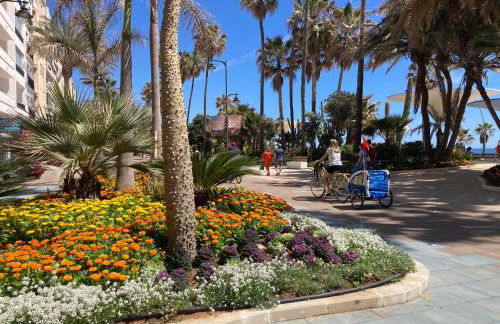 Alborán Costa del Sol - Photo 32