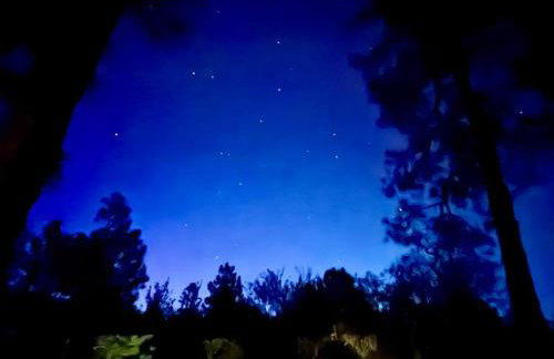 Dancing Pines Cabin - Photo 30