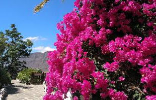 Las Casas de la Rueda - La Casita - Foto 32