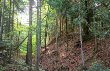 Drewniany domek na wynajem Beskid Wyspowy - Photo 34