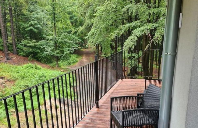 Apartment in Szklarska Poreba With Mountains View - Photo 17