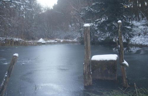 Ferienwohnung Im Alftal, Bleialf - Foto 18