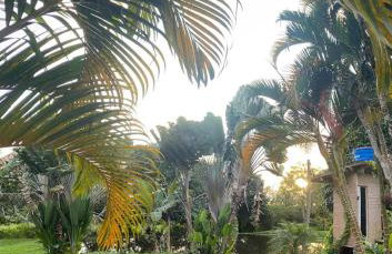 Rancho Refugio Verde AL - Foto 26