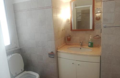 Wild Paradise - Foto 24