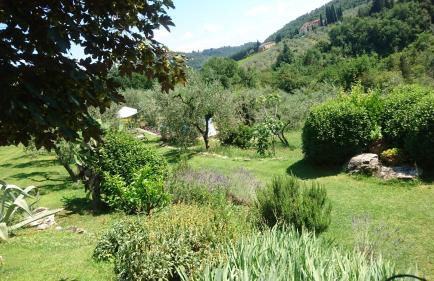 La Sassaia - Foto 11