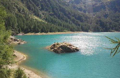 Residence Garnì Il Giglio - Photo 80