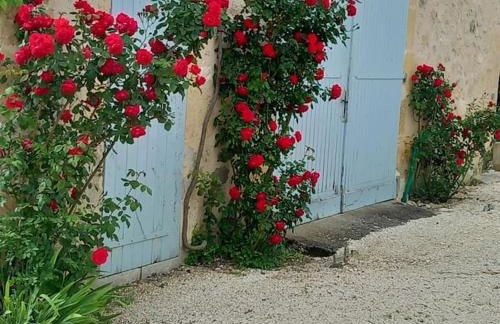 Château Tour du XIII siècle Gazaupouy - Photo 58
