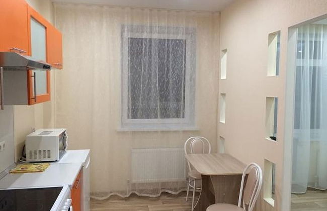 Apartment on Geologorazvedchikov 44a - Photo 9