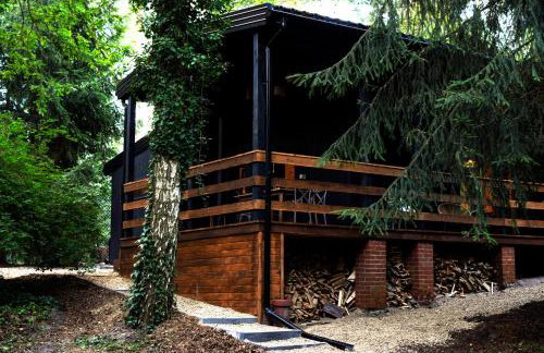 Okno na las - Foto 1