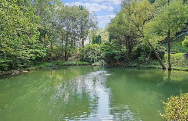 Cub's Cove by Jackson Mountain Rentals - Photo 19