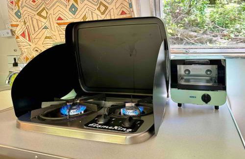 Streamside ShinyTiny Airstream in the Smokies - Foto 21