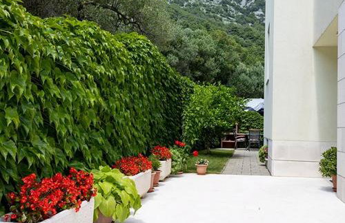 Apartments by the sea Igrane, Makarska - 17292 - Photo 6