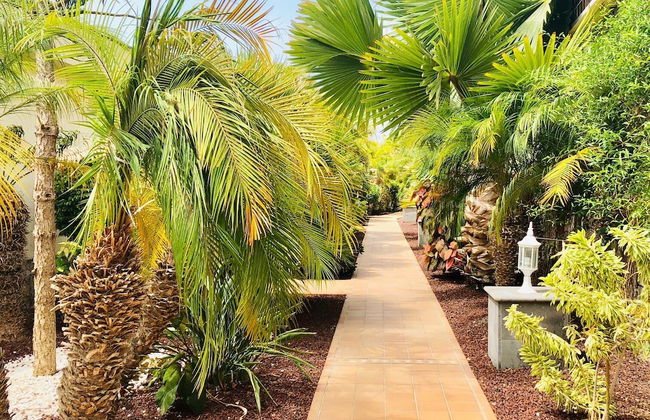 Holiday Club Playa Amadores - Foto 42