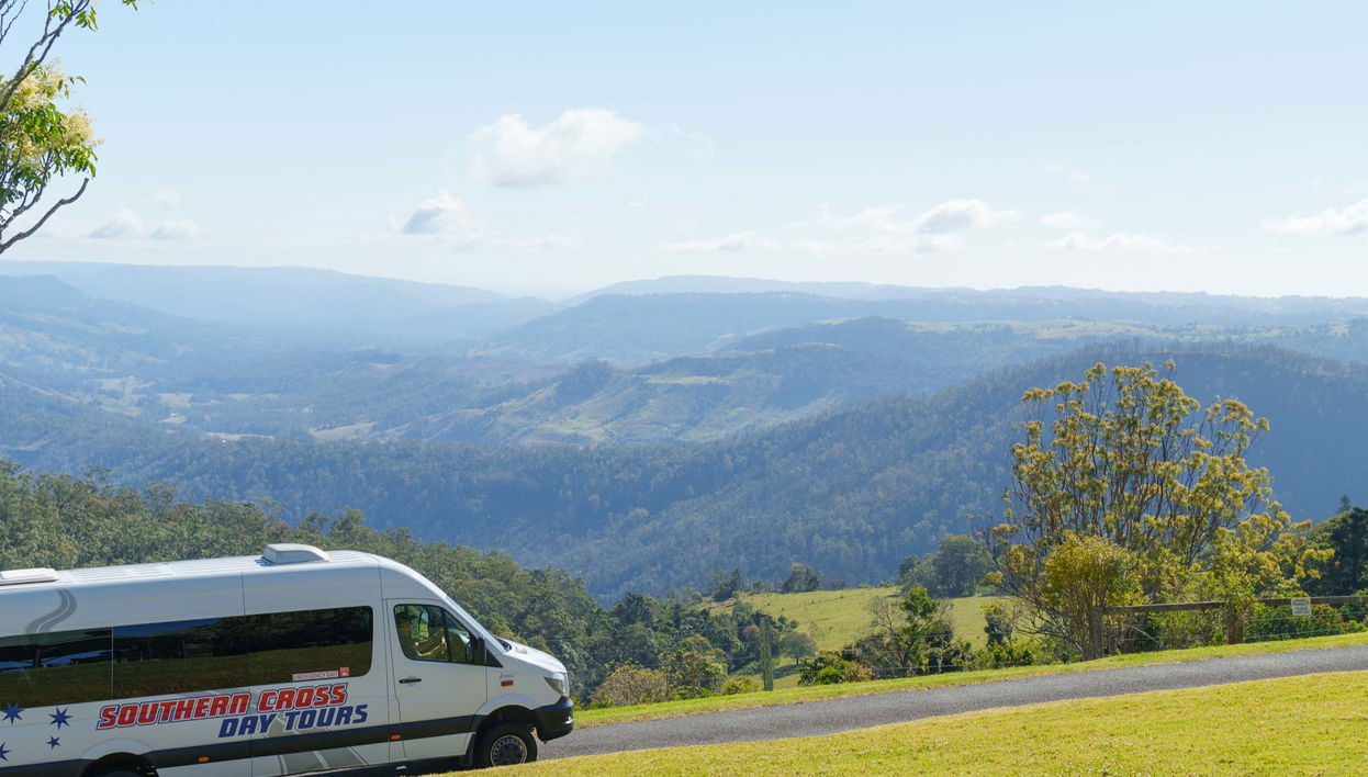 Lamington National Park + O'Reilly's Vineyard Tour - Foto 1