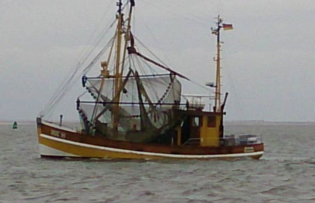 Dinkla 1 Comfortable Holiday Residence - Photo 9