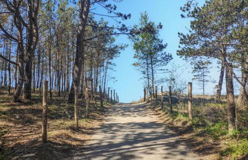 Amazing Home In Postomino With Wifi - Foto 7