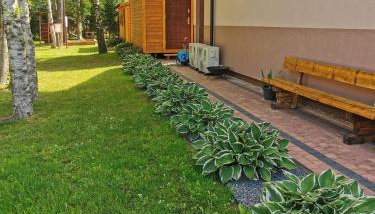 Villa OCTOPUS - Foto 5, Garden, Garden view