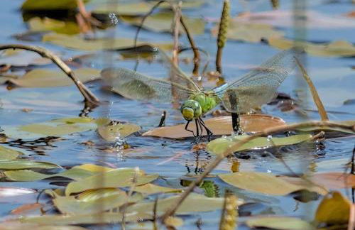 The Workshop- Eco Cottage by the Coastal Path - Photo 37