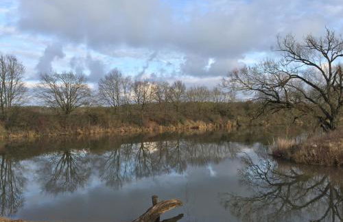 Tinyhouse Bamberg - Foto 25
