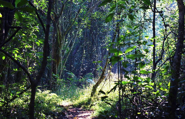 Zur Alten Mine - Foto 75