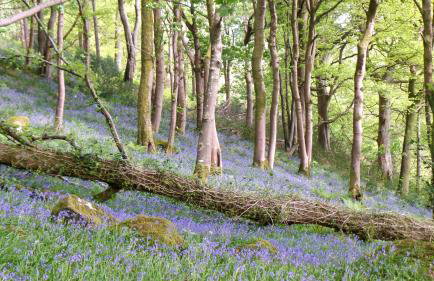 Mullarts Church -The Glendun Apartment - Foto 19