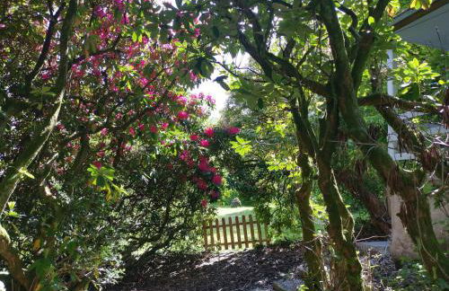 Treeside woodhouse - Foto 66