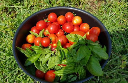 Il Giardino di Tolù Siracusa - Foto 40