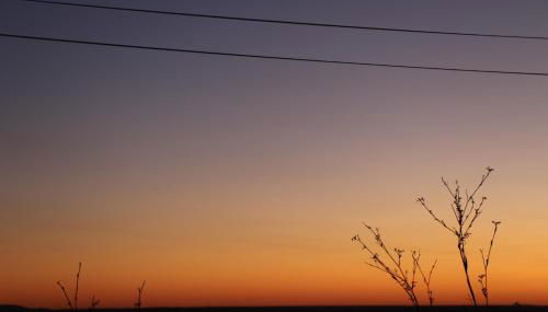 Casa Dos Livres - Foto 4