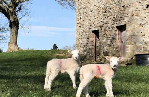 The Owlery At Aysgarth - Foto 15