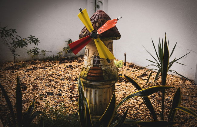 Toro Blanco Resort - Foto 28