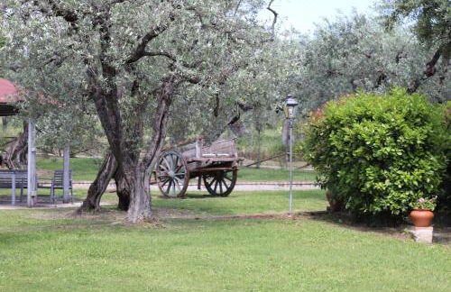 Azienda Agricola Il Bagolaro - Foto 67