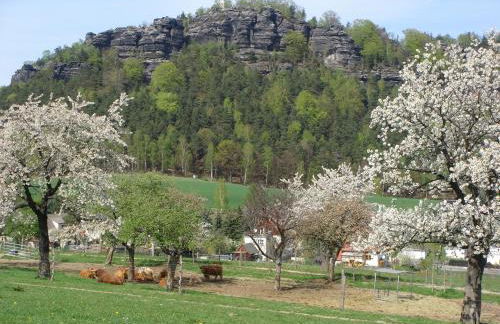 Alter Gutshof Papstdorf - Foto 13