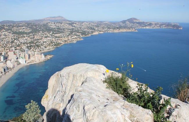 Tapas in Alicante - Privater Rundgang - Foto 6