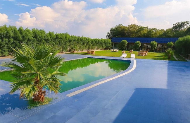 The Rules Club - Foto 17