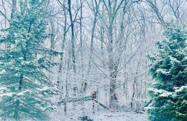 Catskill Cabin Little Owl Apt 1 - Foto 23