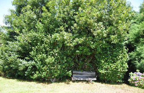 Luxury VILLA CAMÉLIA. Mountains, golf, horses, levada walks. - Foto 28