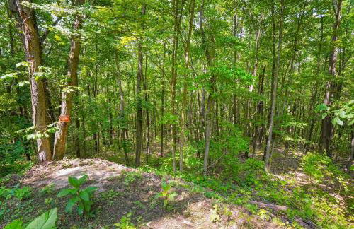 Game RoomHot Tub4mi to Rock HouseGives Back! - Foto 50