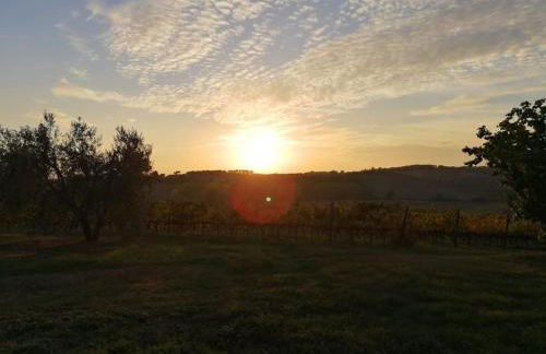 Podere 239 - Appartamento La Stalla - Foto 17