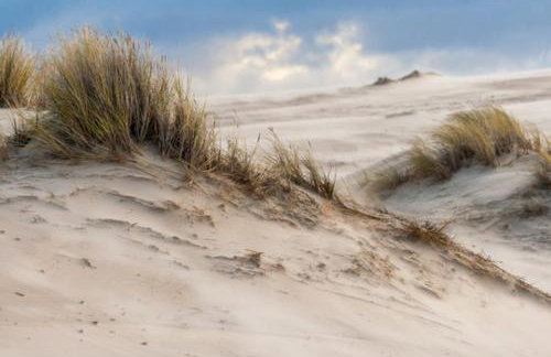 Widać Wydmy - Foto 69