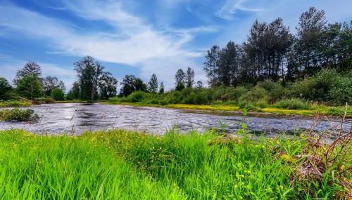 River View House - Foto 4