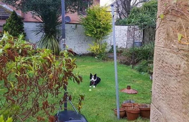 Snug - Fountain Bank Apartment - Photo 7