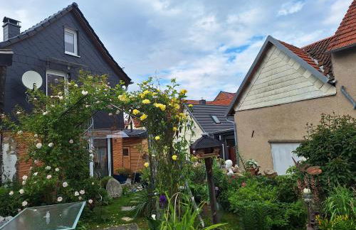 Hainichschäferei - Foto 1