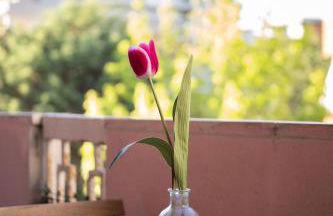 Casa Cuore - Photo 6