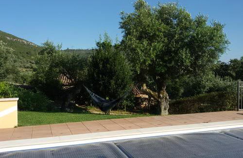 Quinta de São João - Foto 40