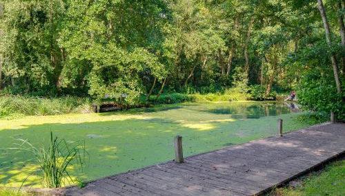 The Wherry Arch - Foto 5