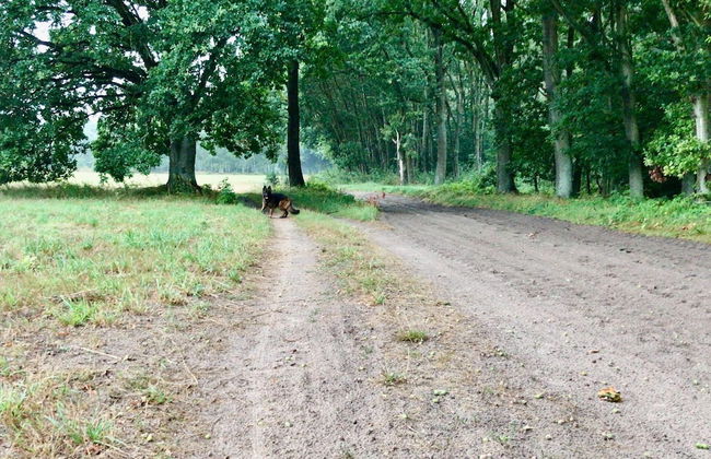 Charming Holiday Home in Wolin With Terrace - Foto 47